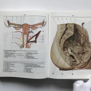 Anatomie 2, Radomír Čihák, Milan Med