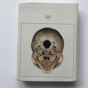 Anatomie 2, Radomír Čihák, Milan Med