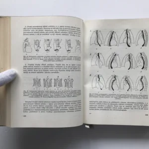 Speciální kardiologie I, Vratislav Jonáš