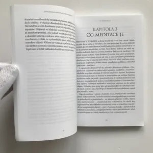 Jednoduchá meditace pro každého (Cesta buddhistických mnichů), Bhanté Henepola Gunaratana