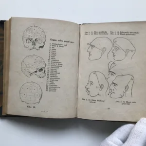 Kranioskopie z praktického a vědeckého hlediska, František Ricardo