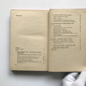 Politické strany (Marxistické a nemarxistické pojetí), René Rohan