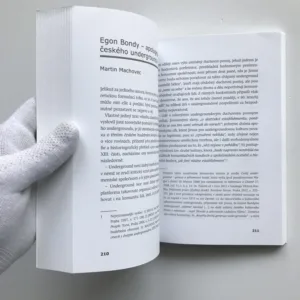 Reflexe undergroundu, Ladislav Kudrna, kolektiv autorů