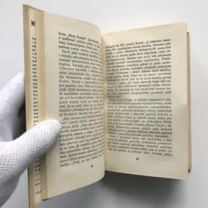 Mluvil jsem s Hitlerem, Hermann Rausching