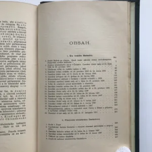 Od nastoupení Badeniova do odstoupení Thunova, Adolf Srb