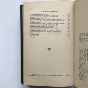 Od nastoupení Badeniova do odstoupení Thunova, Adolf Srb