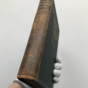 Od nastoupení Badeniova do odstoupení Thunova, Adolf Srb