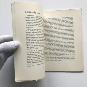 Kapitoly o drahokamech, Vladislav Přistoupil