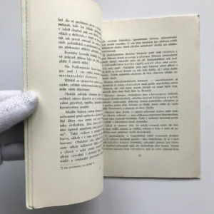 Kapitoly o drahokamech, Vladislav Přistoupil