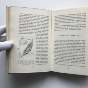 Křehká krása (Sběr a preparování živočichů a rostlin), Bohumil Lhotský