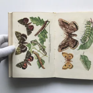 Křehká krása (Sběr a preparování živočichů a rostlin), Bohumil Lhotský