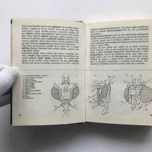 Kapesní atlas dvoukřídlého hmyzu, Vladimír Javorek