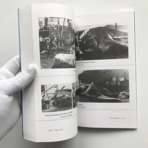 The Last Whale, Chris Pash