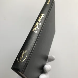 How Safe? (Three Mile Island, Chernobyl and Beyond), James Megaw