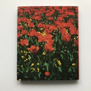 Večný plameň, Otakar Nehera, Viliam Plevza