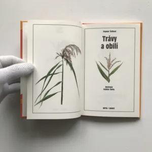 Trávy a obilí, Dagmar Šašková, Vojtěch Štolfa