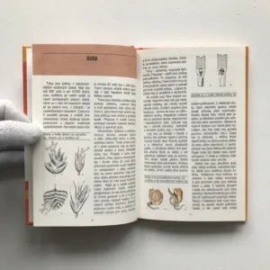 Trávy a obilí, Dagmar Šašková, Vojtěch Štolfa