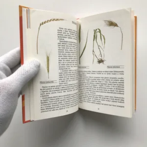 Trávy a obilí, Dagmar Šašková, Vojtěch Štolfa