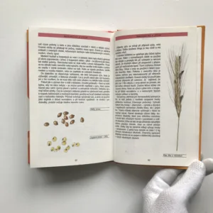 Trávy a obilí, Dagmar Šašková, Vojtěch Štolfa