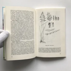 Trávníky kolem nás, Jan Ondřej