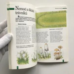 Trávníky a okrasné trávy, Jan Ondřej, Milada Opatrná, Petr Rob