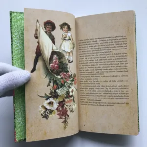 Květiny z babiččiny zahrádky, Klára Trnková