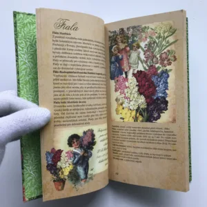 Květiny z babiččiny zahrádky, Klára Trnková