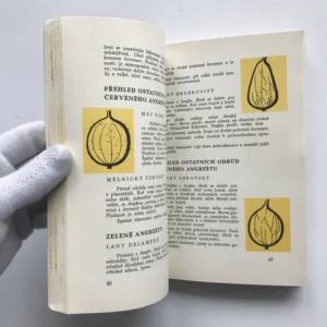 Pěstování ovoce pro konservárenské účely, Milan Diviš, Miloš Bubák, Zdeněk Žert