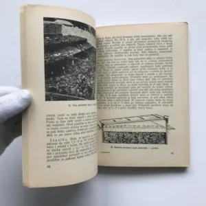 Zelinářství (Zahradnictví – část III), Anna Horynová