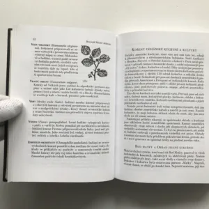 Bylinář Matky přírody, Judy Griffinová