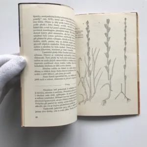 Nebezpečné rostliny, Milada Lautererová