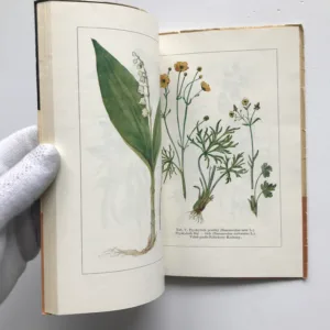 Nebezpečné rostliny, Milada Lautererová