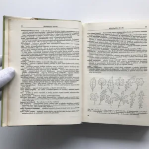 Klíč k úplné květeně ČSR, Josef Dostál, Vlasta Kneblová