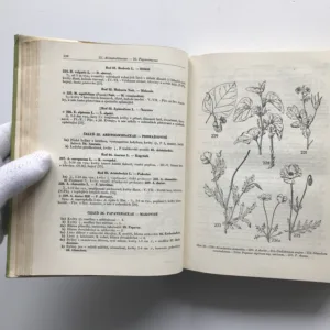 Klíč k úplné květeně ČSR, Josef Dostál, Vlasta Kneblová