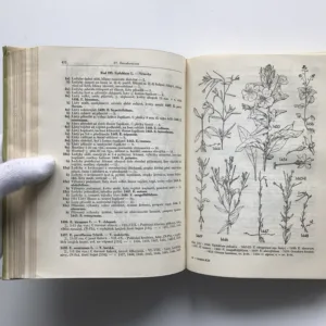 Klíč k úplné květeně ČSR, Josef Dostál, Vlasta Kneblová