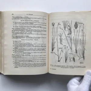 Klíč k úplné květeně ČSR, Josef Dostál, Vlasta Kneblová