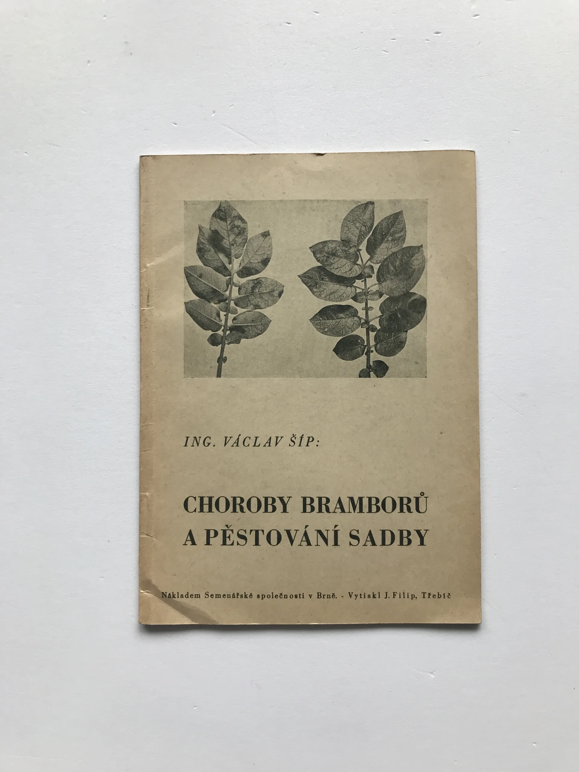 Choroby bramborů a pěstování sadby, Václav Šíp