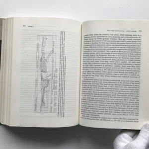 Paleokarst – A Systematic and Regional Review, Pavel Bosák, Derek C. Ford, Jerzy Glazek, Ivan Horáček