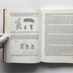 Genetika rostlin, Antonín Kováčik, kolektiv autorů