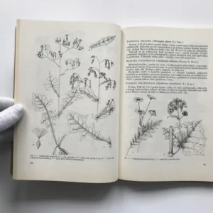 Lesnícka botanika, Jaroslav Mergl, kolektiv autorů