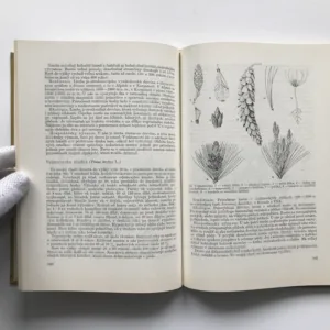 Lesnícka botanika, Jaroslav Mergl, kolektiv autorů