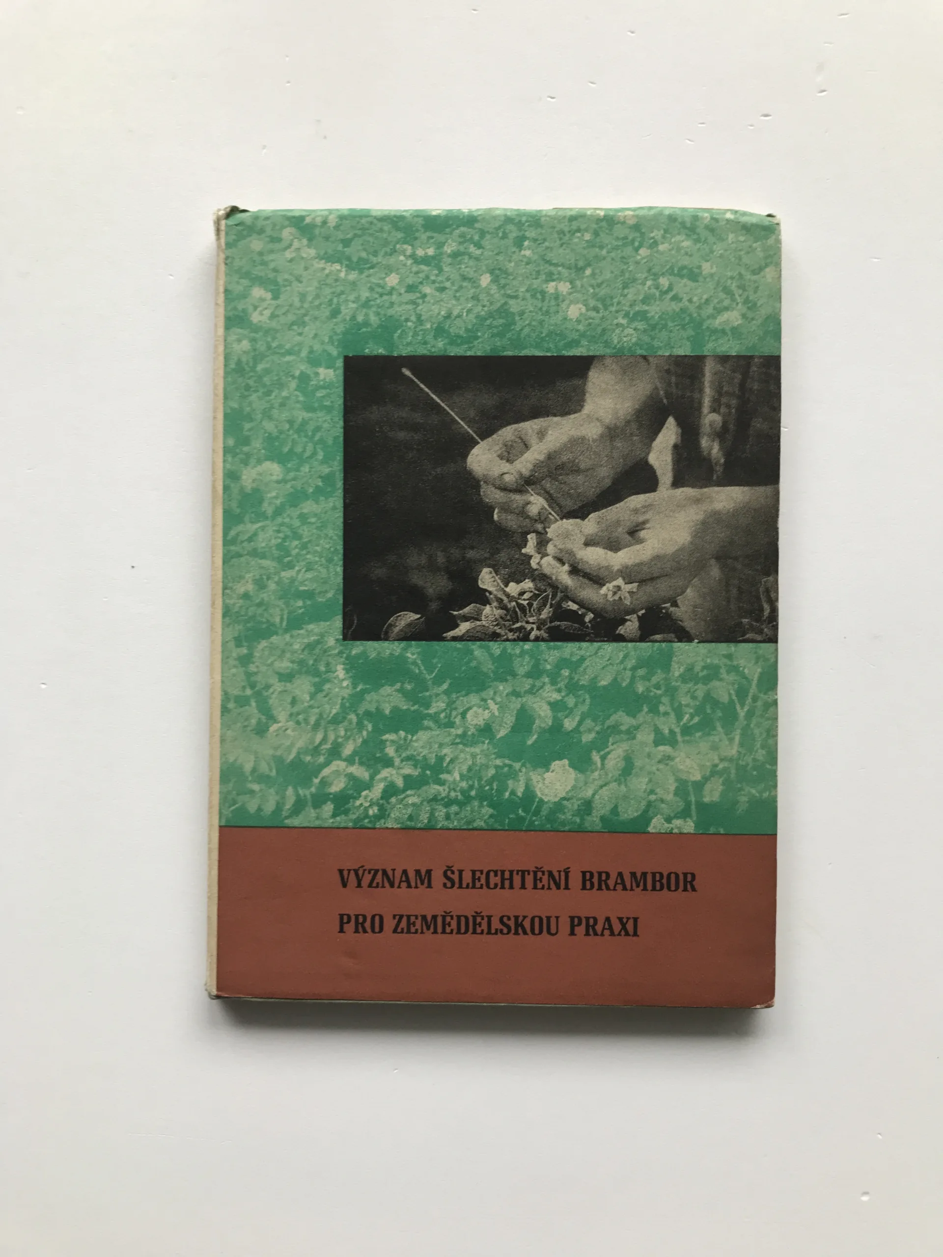 Význam šlechtění brambor pro zemědělskou praxi (40 let činnosti Šlechtitelské stanice Keřkov)