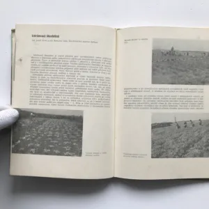 Význam šlechtění brambor pro zemědělskou praxi (40 let činnosti Šlechtitelské stanice Keřkov)