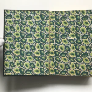 Za jižním sluncem (Zápisky přírodopisce z cest po Středomoří), Karel Domin