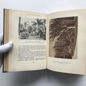 Za jižním sluncem (Zápisky přírodopisce z cest po Středomoří), Karel Domin