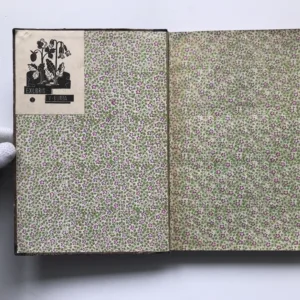 V moci pouště (Kniha lovů a dobrodružství), Vilém Němec, Věnceslav Černý