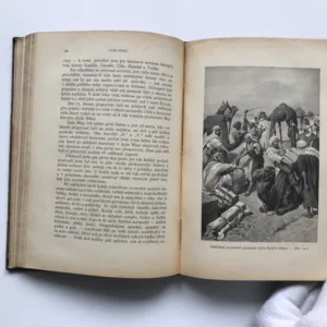 V moci pouště (Kniha lovů a dobrodružství), Vilém Němec, Věnceslav Černý