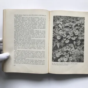 Za neznámými světy (Po stopách velkých objevitelů), Wilhelm Treue