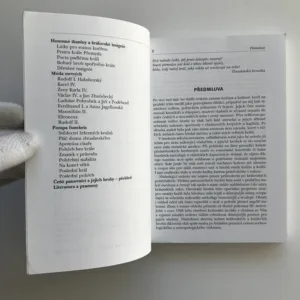 Hroby, hrobky a pohřebiště českých knížat a králů, Milena Bravermanová, Michal Lutovský