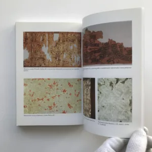 Hroby, hrobky a pohřebiště českých knížat a králů, Milena Bravermanová, Michal Lutovský